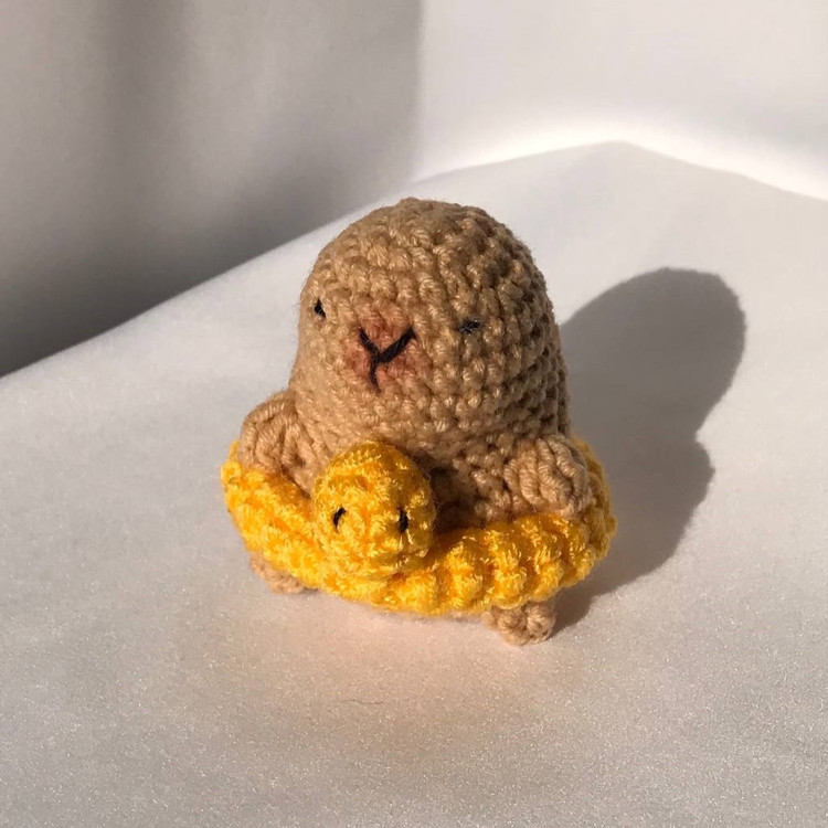 جاکلیدی کاپیبارا